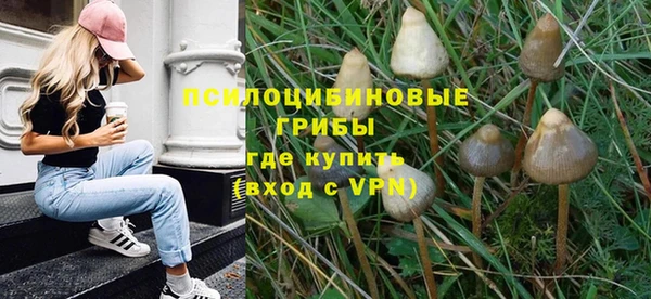 гашик Баксан