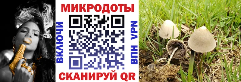 где можно купить   Новохопёрск  Галлюциногенные грибы мицелий 